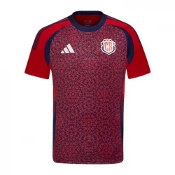 Camiseta Fútbol Costa Rica Copa America 2024 Primera Hombre Equipación