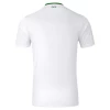 Camiseta Fútbol Irlanda 2024 Segunda Equipación Hombre