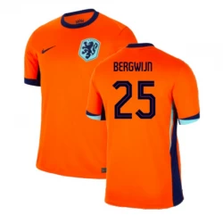 Camiseta Fútbol Países Bajos Bergwijn #25 Eurocopa 2024 Primera Hombre Equipación