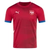 Camiseta Fútbol Serbia Mitrovic #9 Eurocopa 2024 Primera Hombre Equipación