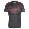 Camiseta Fútbol SL Benfica 2024-25 Segunda Equipación Hombre